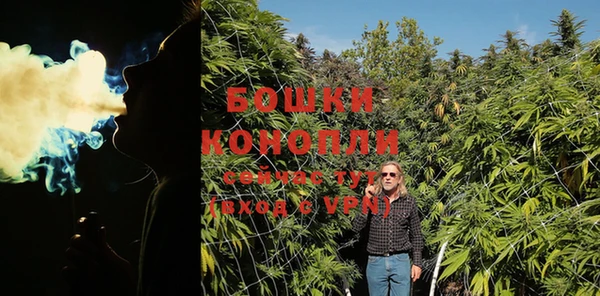 крисы Бородино