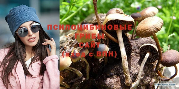 крисы Бородино
