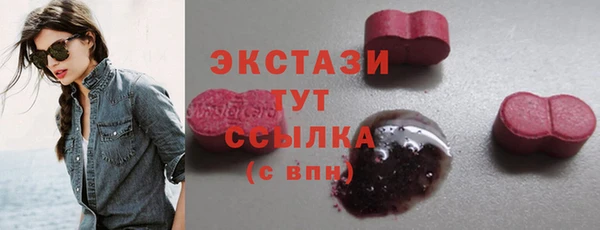 крисы Бородино