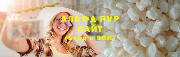 крисы Бородино