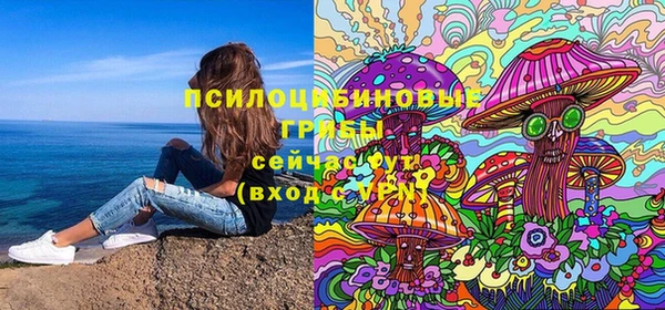 крисы Бородино