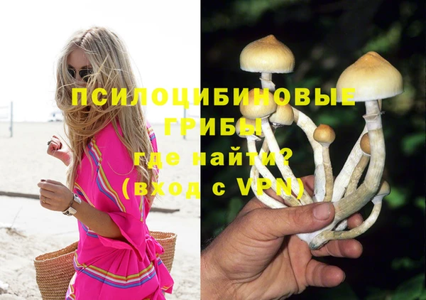 крисы Бородино