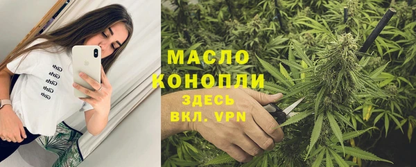 крисы Бородино