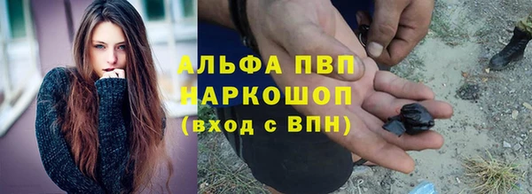 крисы Бородино