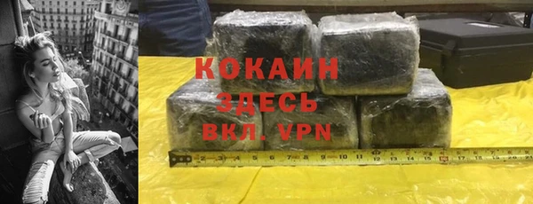 крисы Бородино