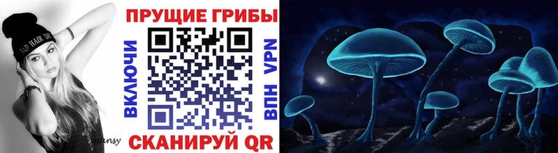 Псилоцибиновые грибы мухоморы  наркотики  Рыбинск 